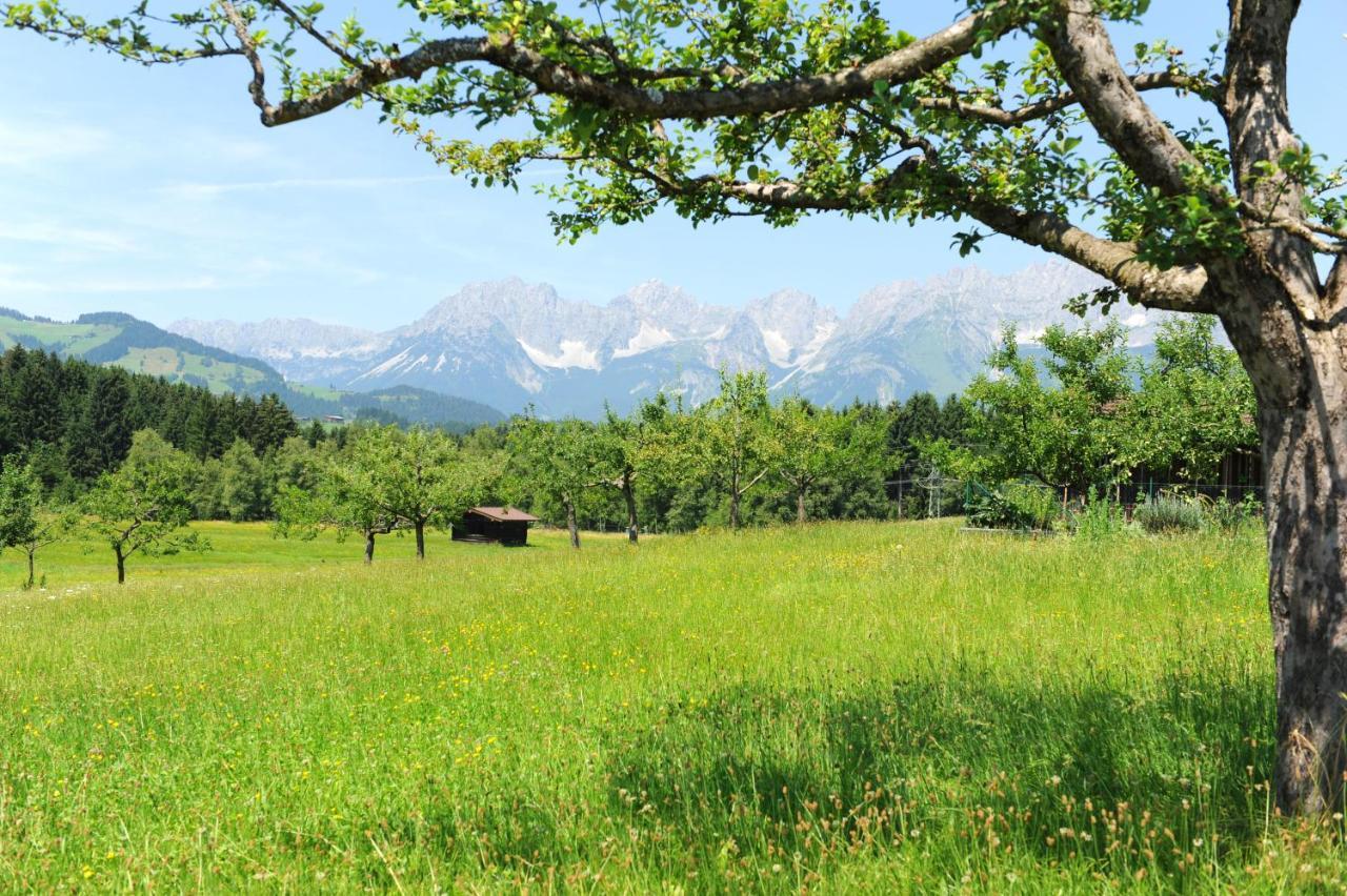 Filzenhof Daire Kitzbühel Oda fotoğraf