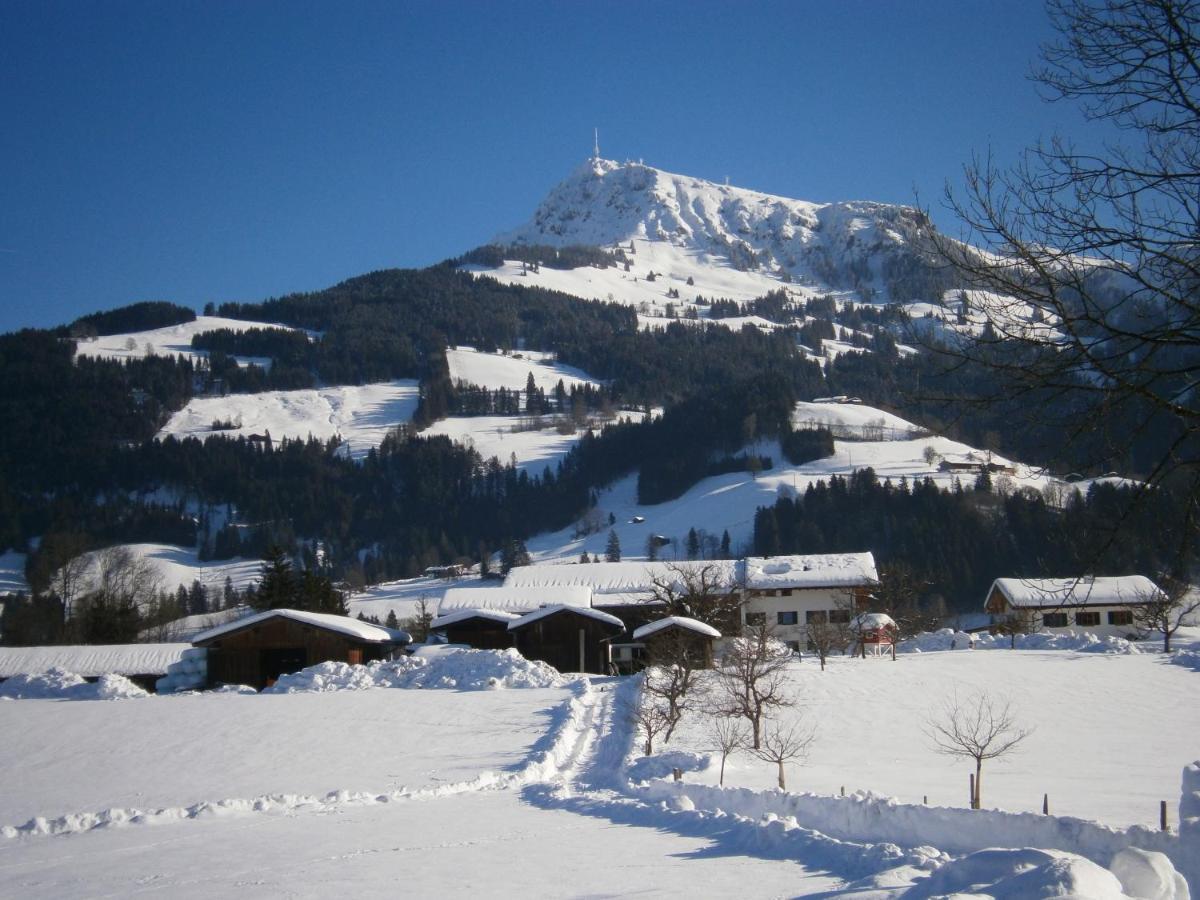 Filzenhof Daire Kitzbühel Oda fotoğraf