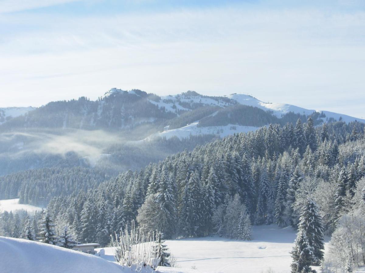 Filzenhof Daire Kitzbühel Dış mekan fotoğraf