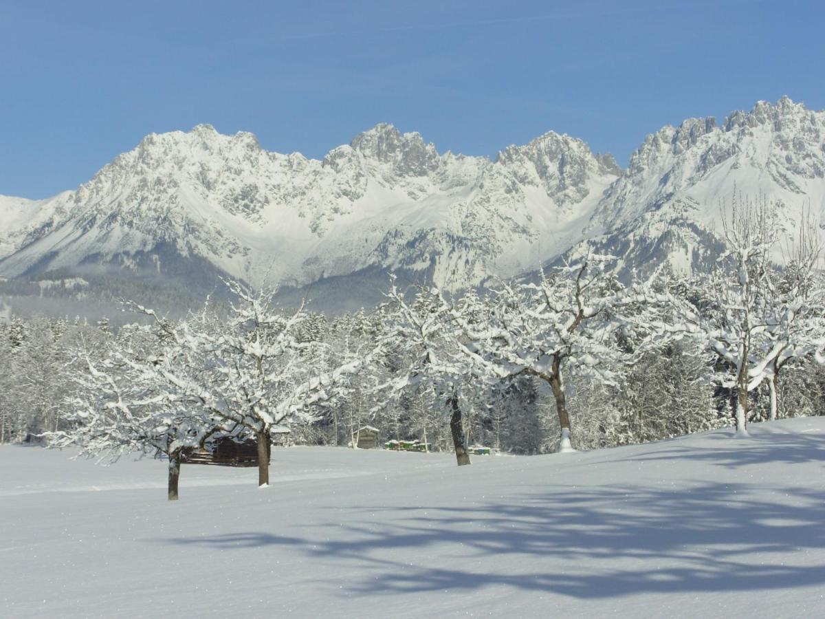 Filzenhof Daire Kitzbühel Dış mekan fotoğraf