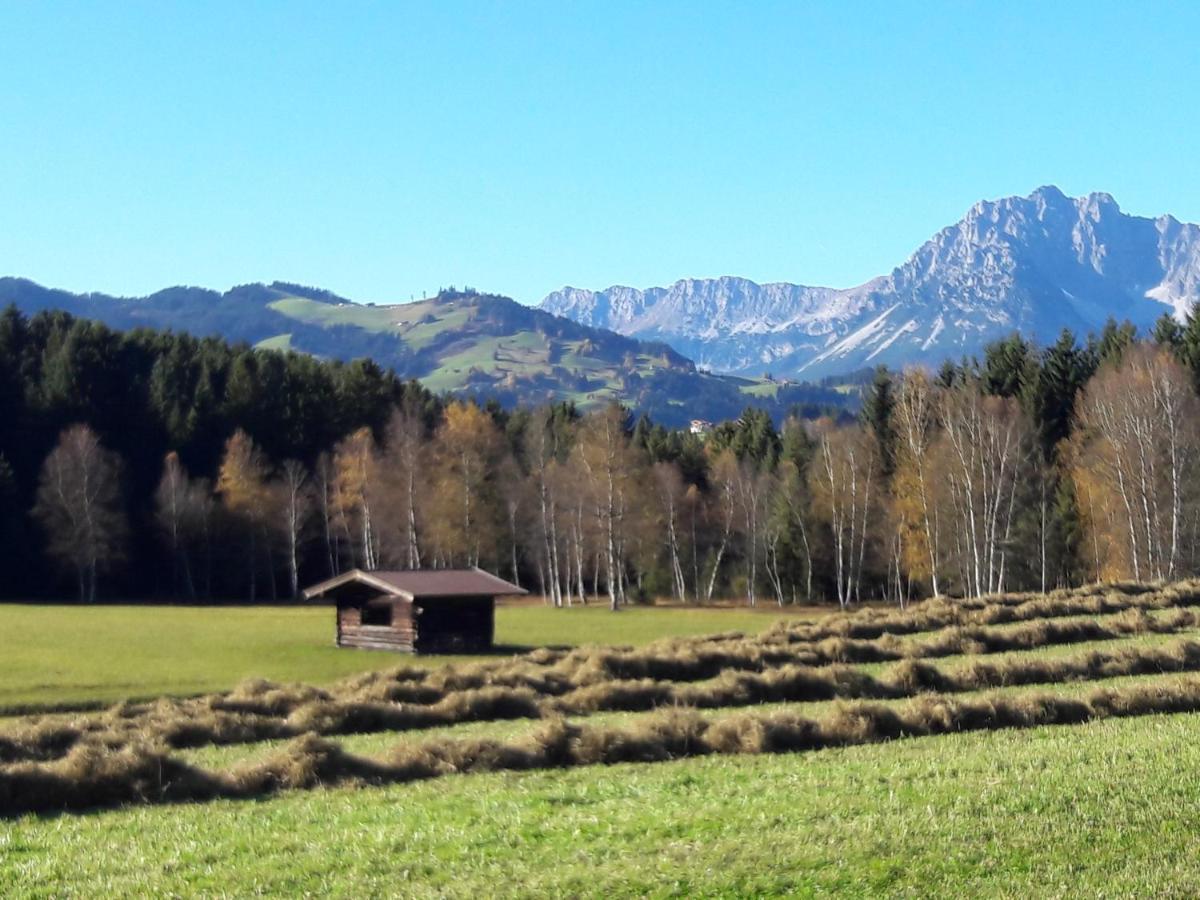 Filzenhof Daire Kitzbühel Dış mekan fotoğraf