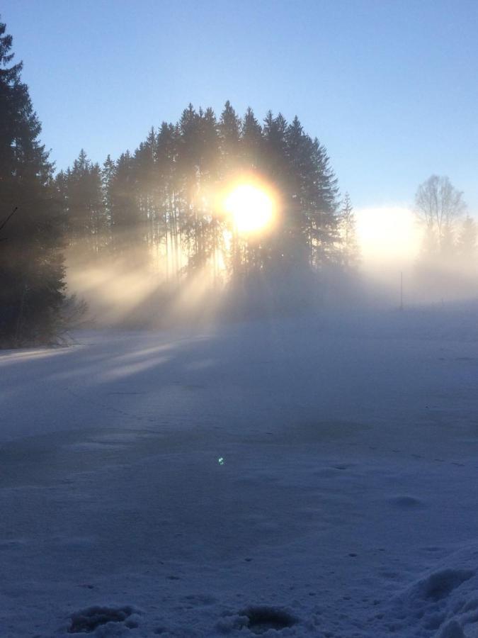 Filzenhof Daire Kitzbühel Dış mekan fotoğraf