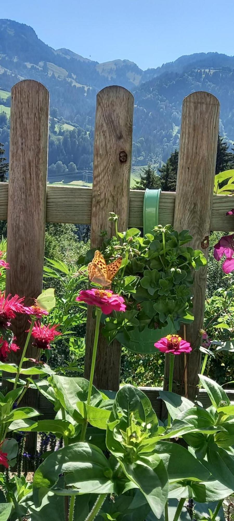 Filzenhof Daire Kitzbühel Dış mekan fotoğraf