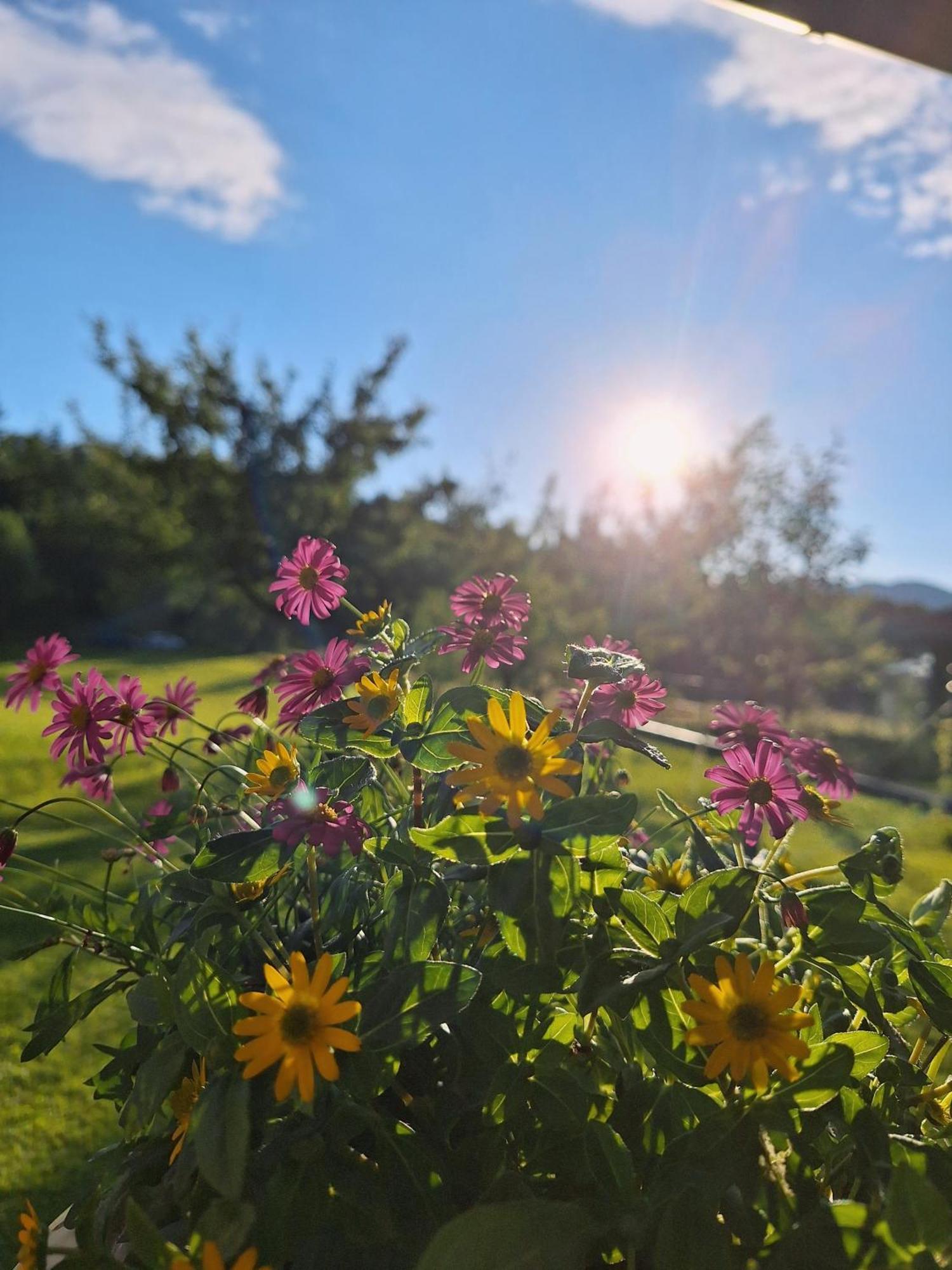 Filzenhof Daire Kitzbühel Dış mekan fotoğraf
